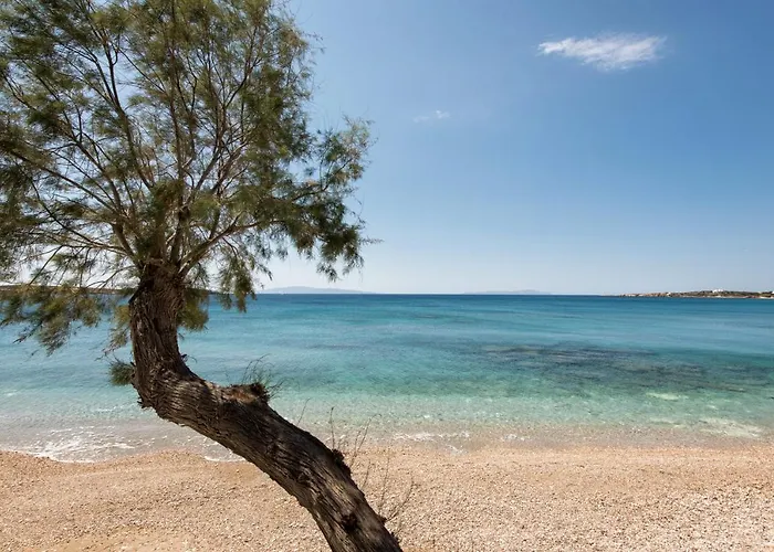 Апартаменты Tarsa Дриос