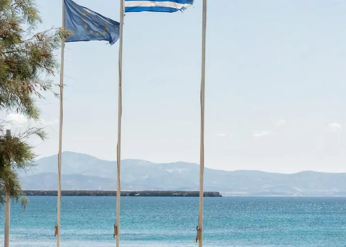 塔萨公寓酒店 *